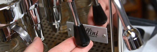 Living with the ECM Rocket Cellini Premium Plus